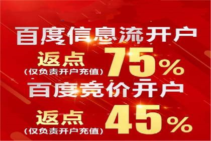 竞价托管服务对比：不同平台的优劣分析